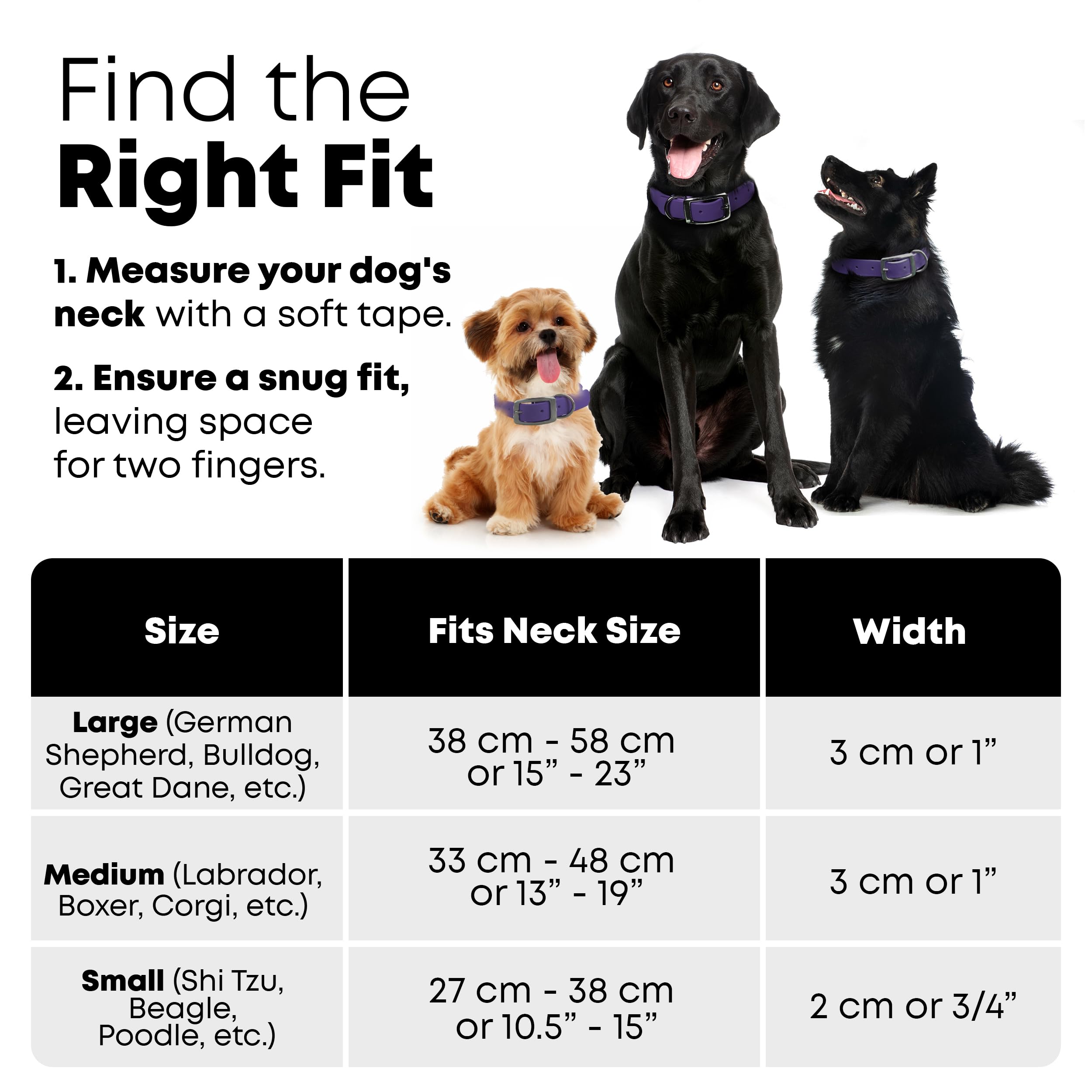 Regal Dog Products purple color adds visible style and easy matching