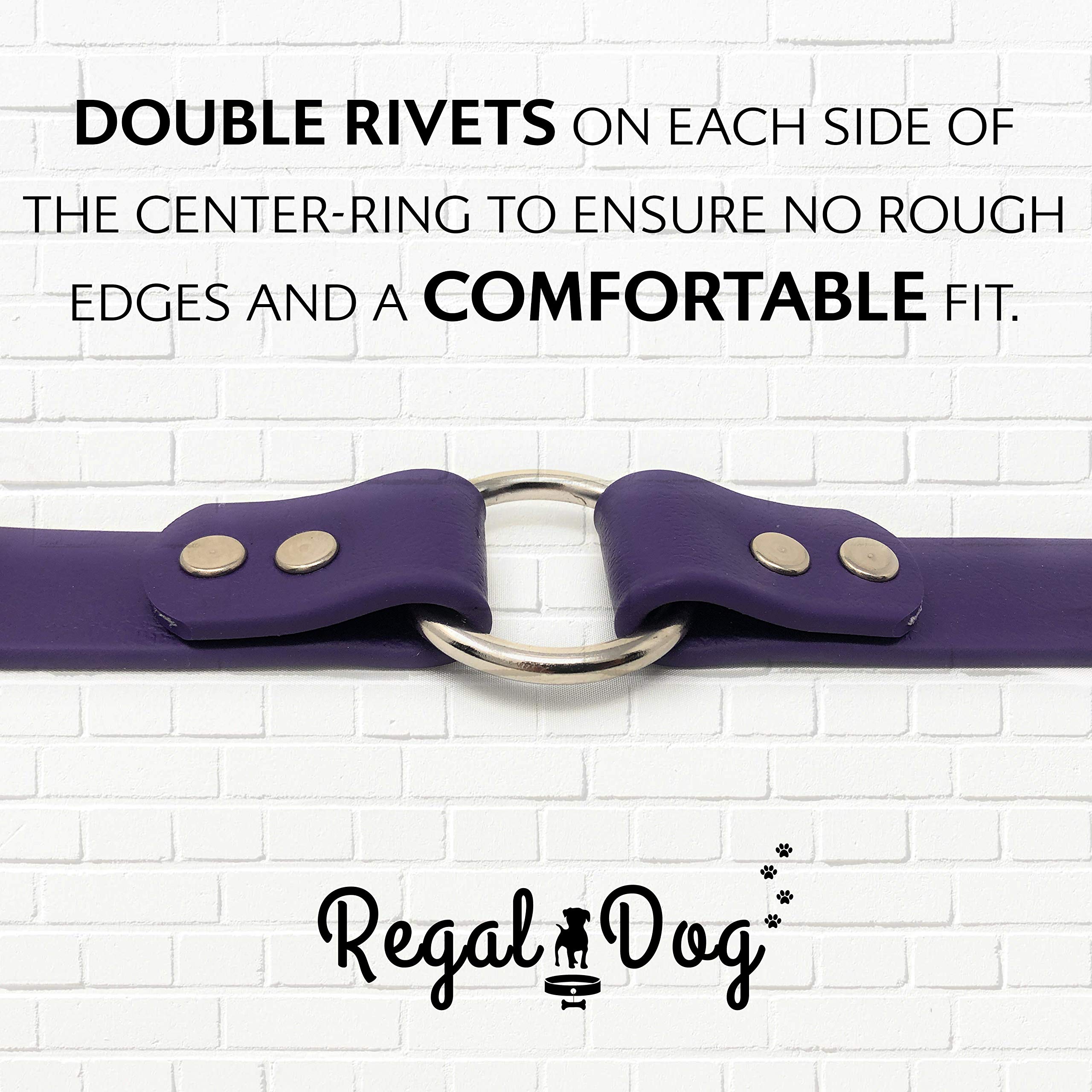 Regal Dog Products size range 13–23 inches fits many dogs