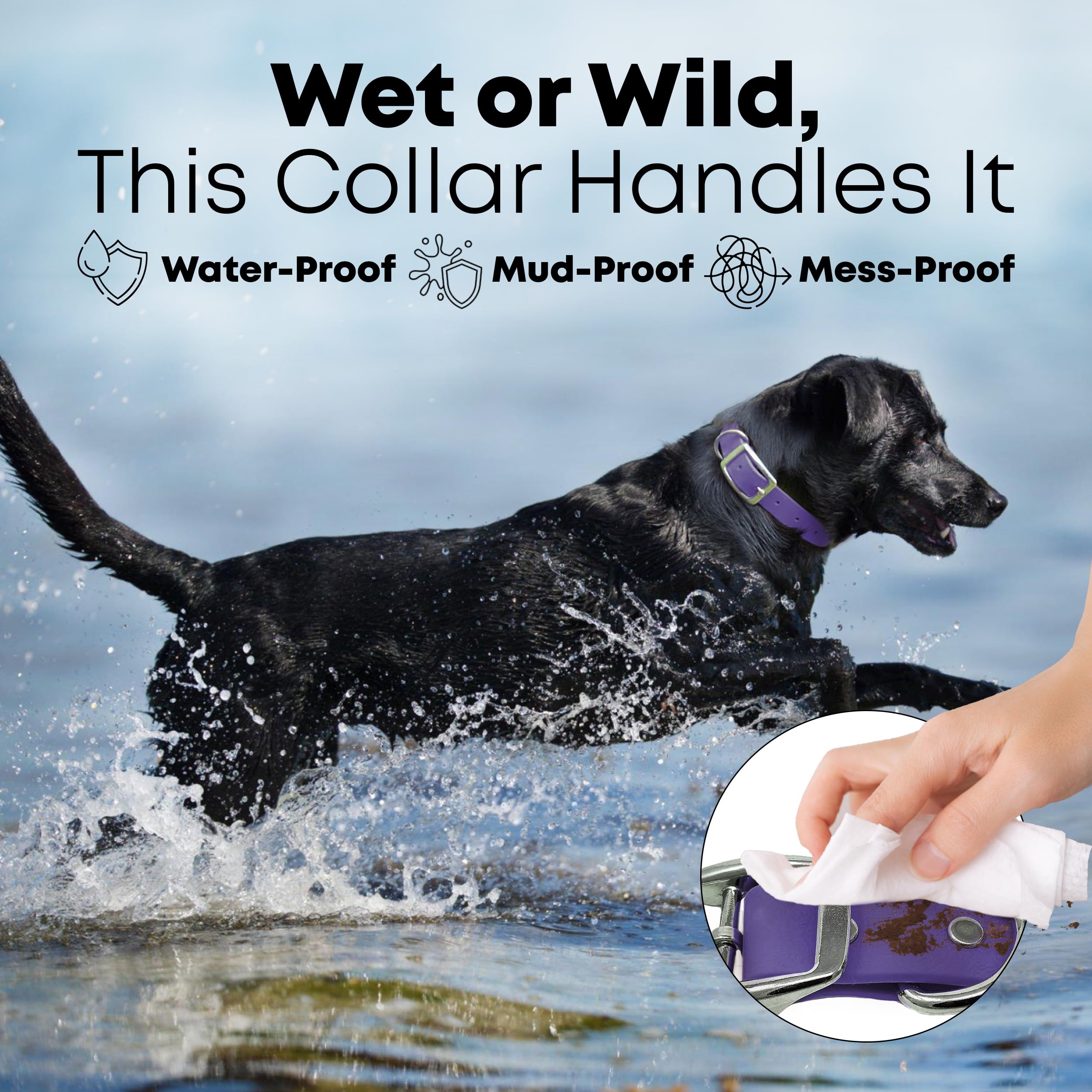 Regal Dog Products vinyl-coated webbing offers durable, water-resistant surface