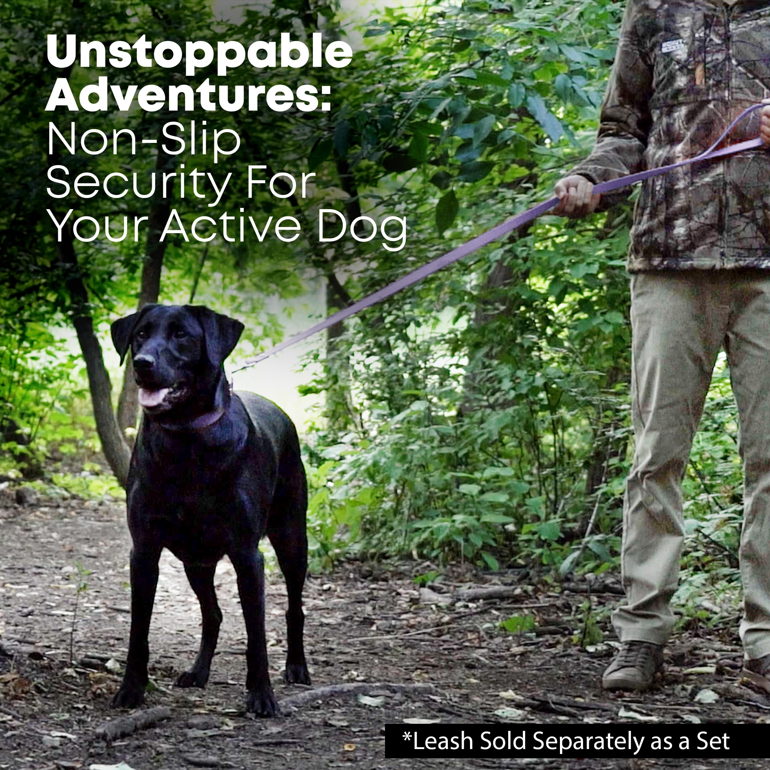 Regal Dog Products waterproof outer layer keeps collar clean and dry