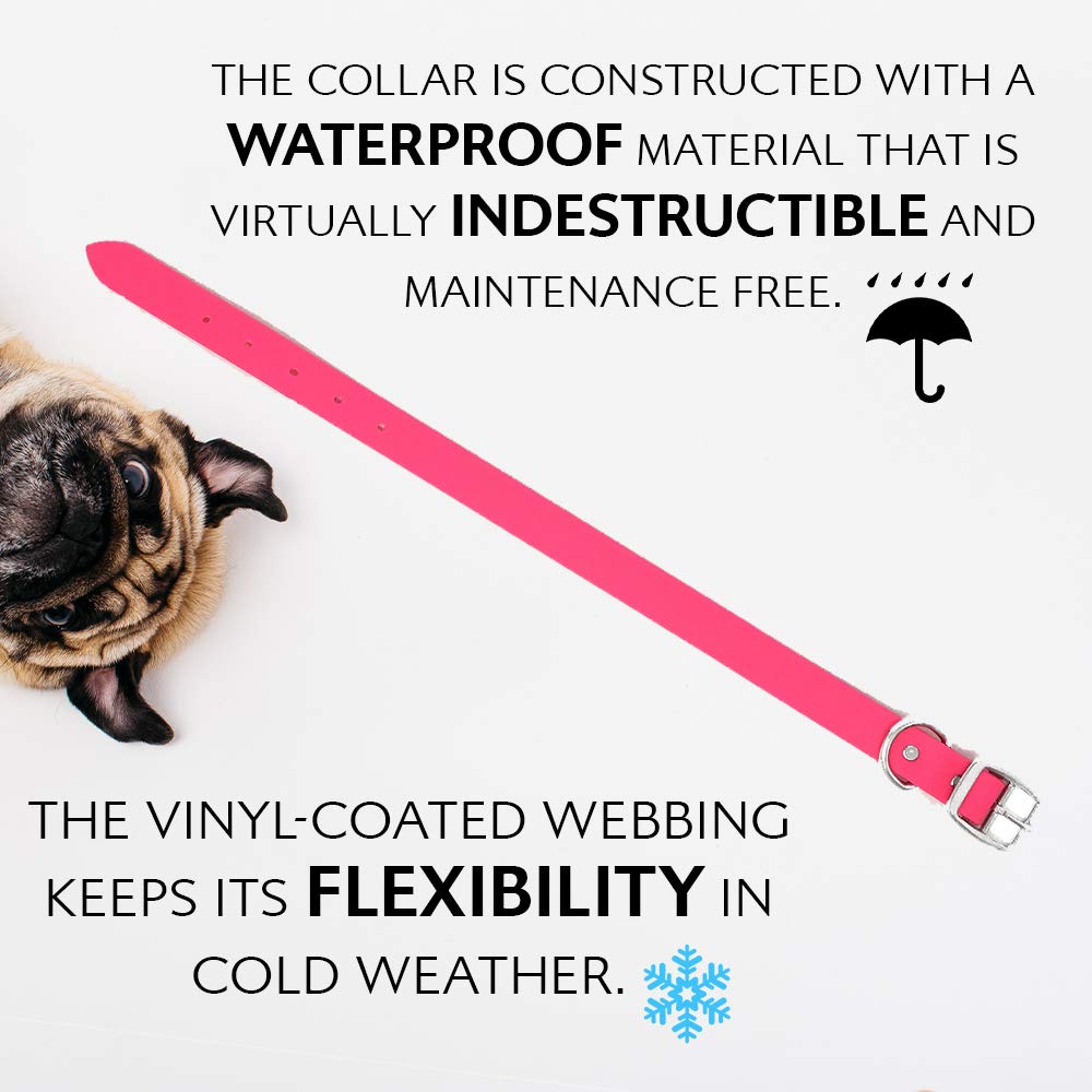 Regal Dog Products nickel-plated double buckles resist rust in wet conditions.