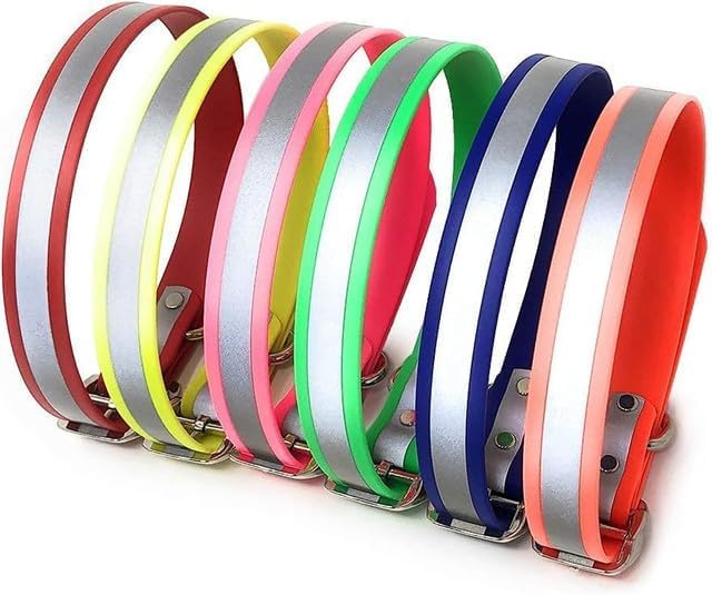 Regal Dog Products non-absorbent collar suitable for water activities