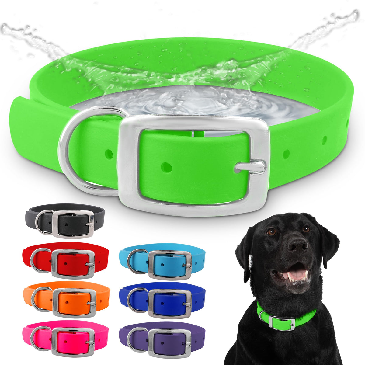 Regal Dog Products small light green collar front view shows adjustable fit for growing dogs.