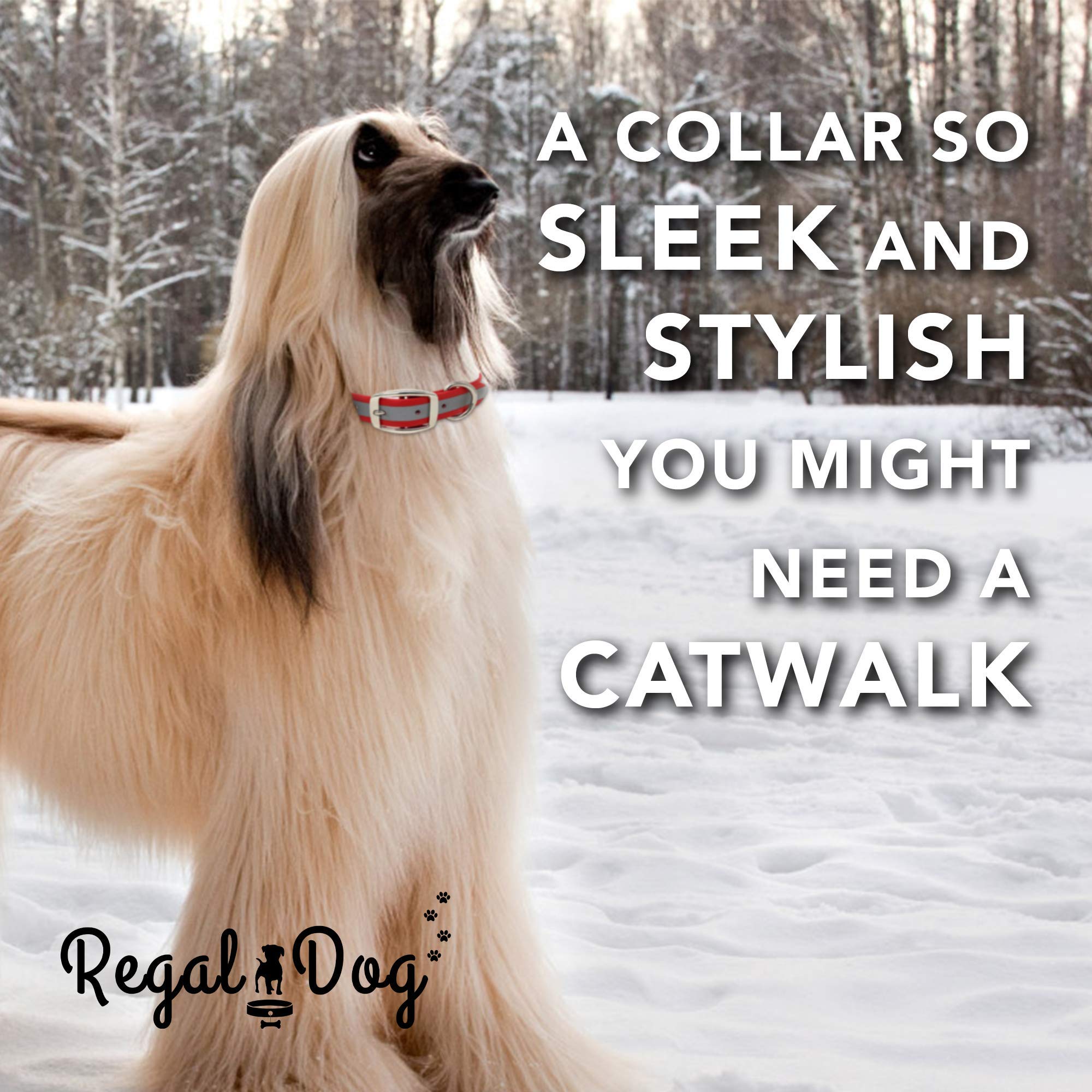 Regal Dog Products leather-like look collar without animal products