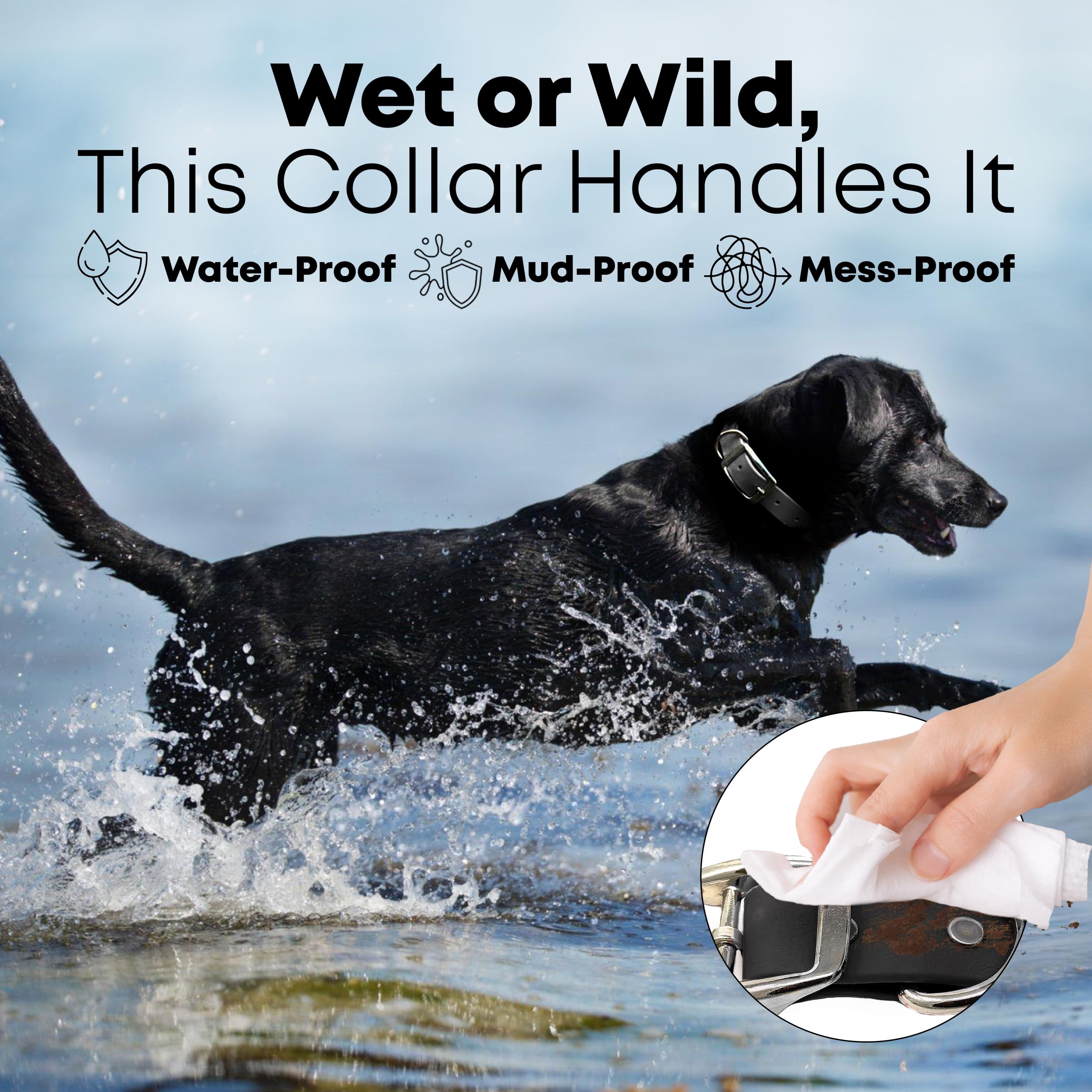 Regal Dog Products vinyl-coated waterproof webbing resists moisture for beach days