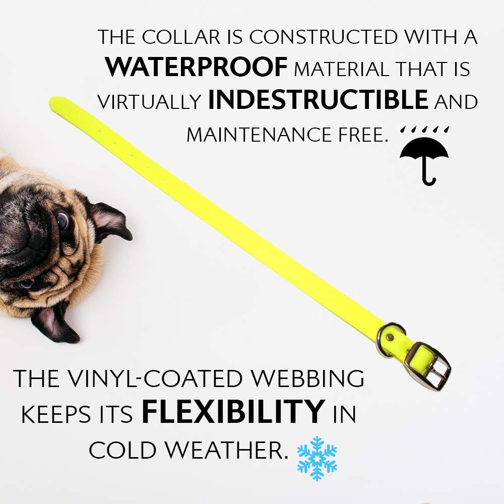 Regal Dog Products waterproof collar closeup highlights durability and vivid color