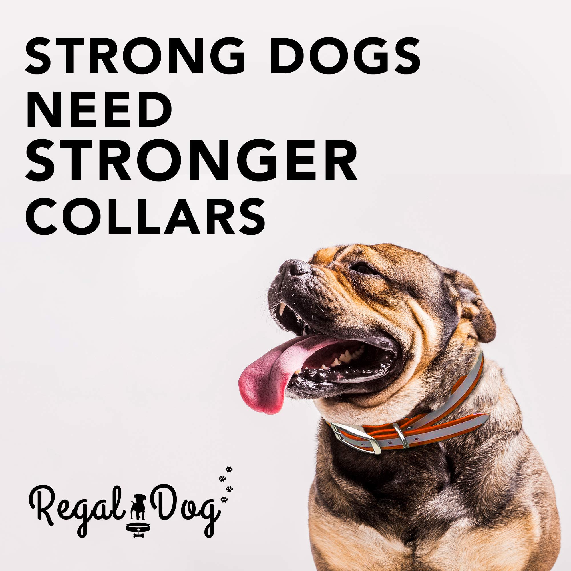 Regal Dog Products waterproof vinyl-coated collar easy to wipe clean