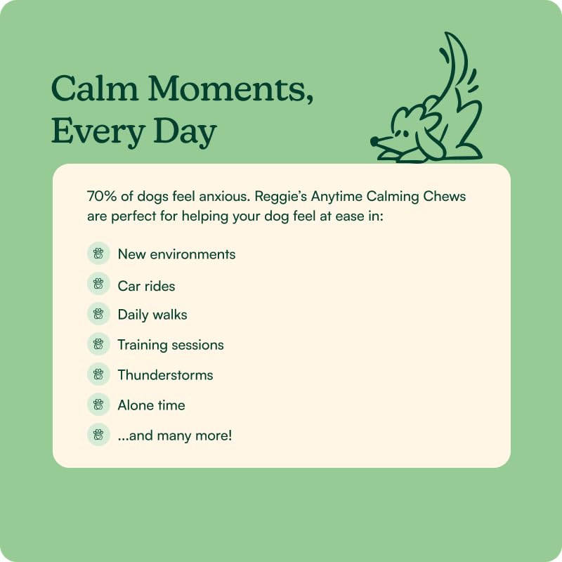 Reggie Anytime Calming Chews packaging showcases NASC safety and USA-made quality.