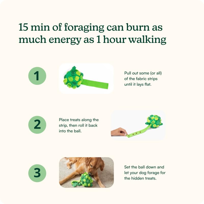 Reggie Treats texture close-up illustrating soft, tasty training bites