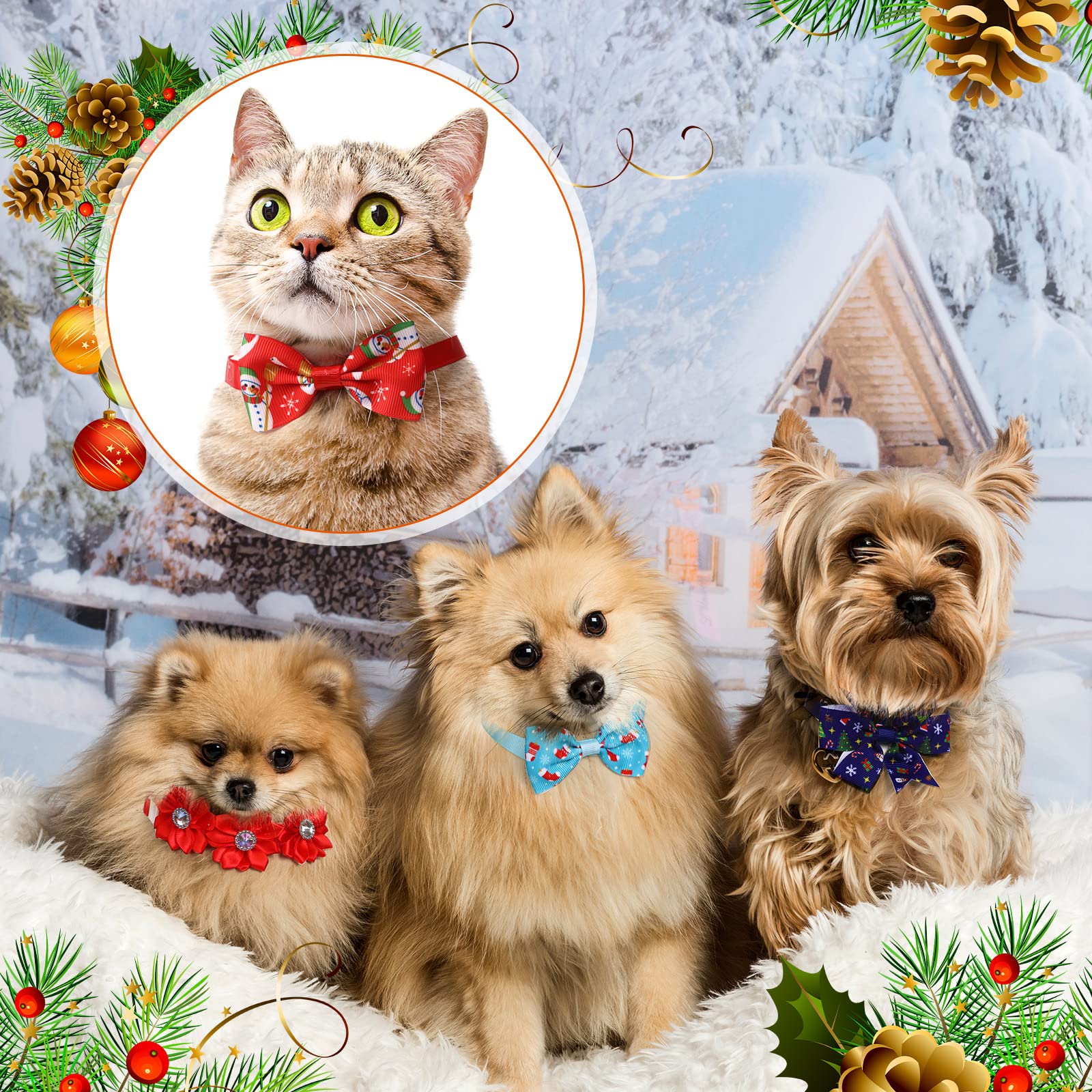 Reginary Christmas cat bowties patterns show variety for stylish holiday photos