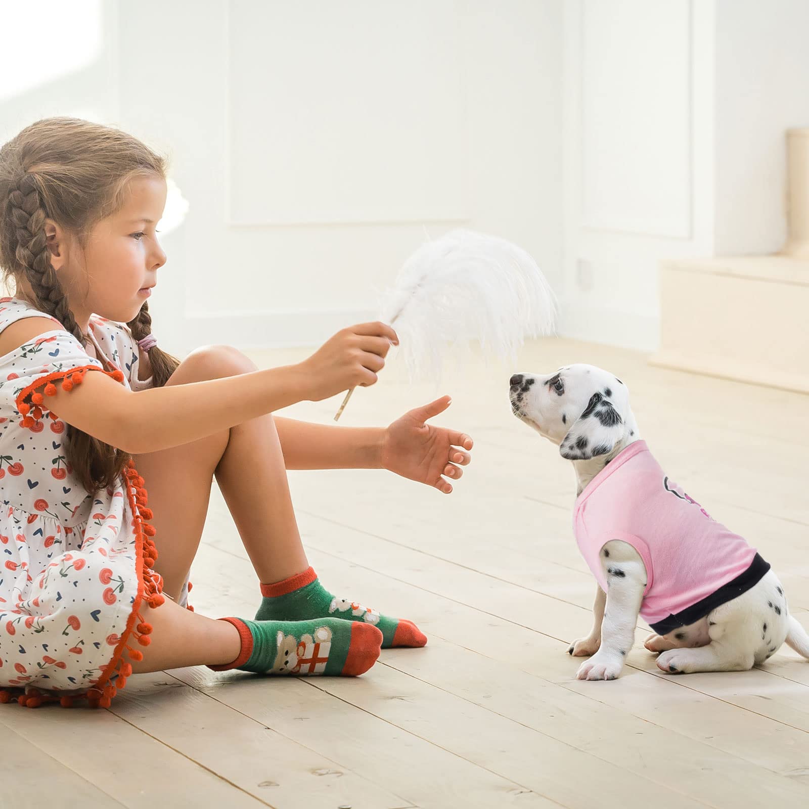 Reginary Christmas gift dog outfit, perfect for festive photos and holidays.