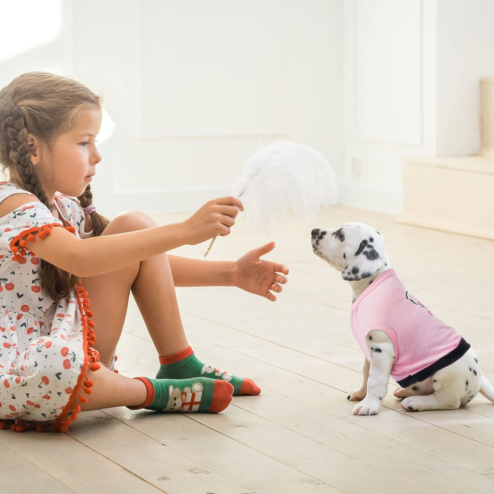 Reginary Christmas gift dog outfit, perfect for festive photos and holidays.