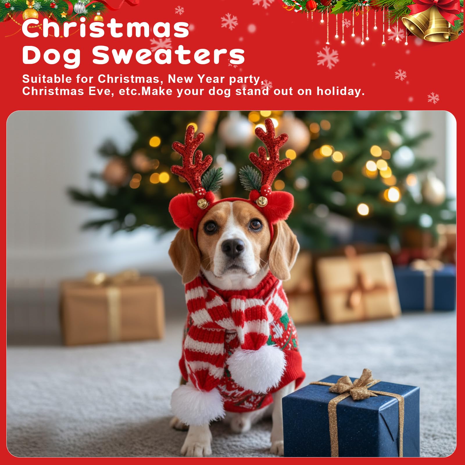 Reginary Christmas pet outfits showcase festive patterns for photos