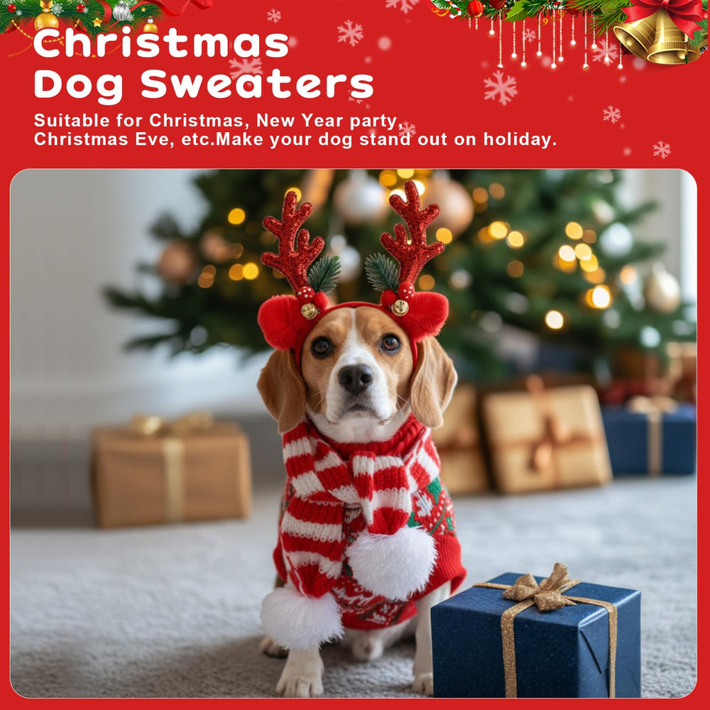 Reginary Christmas pet outfits showcase festive patterns for photos