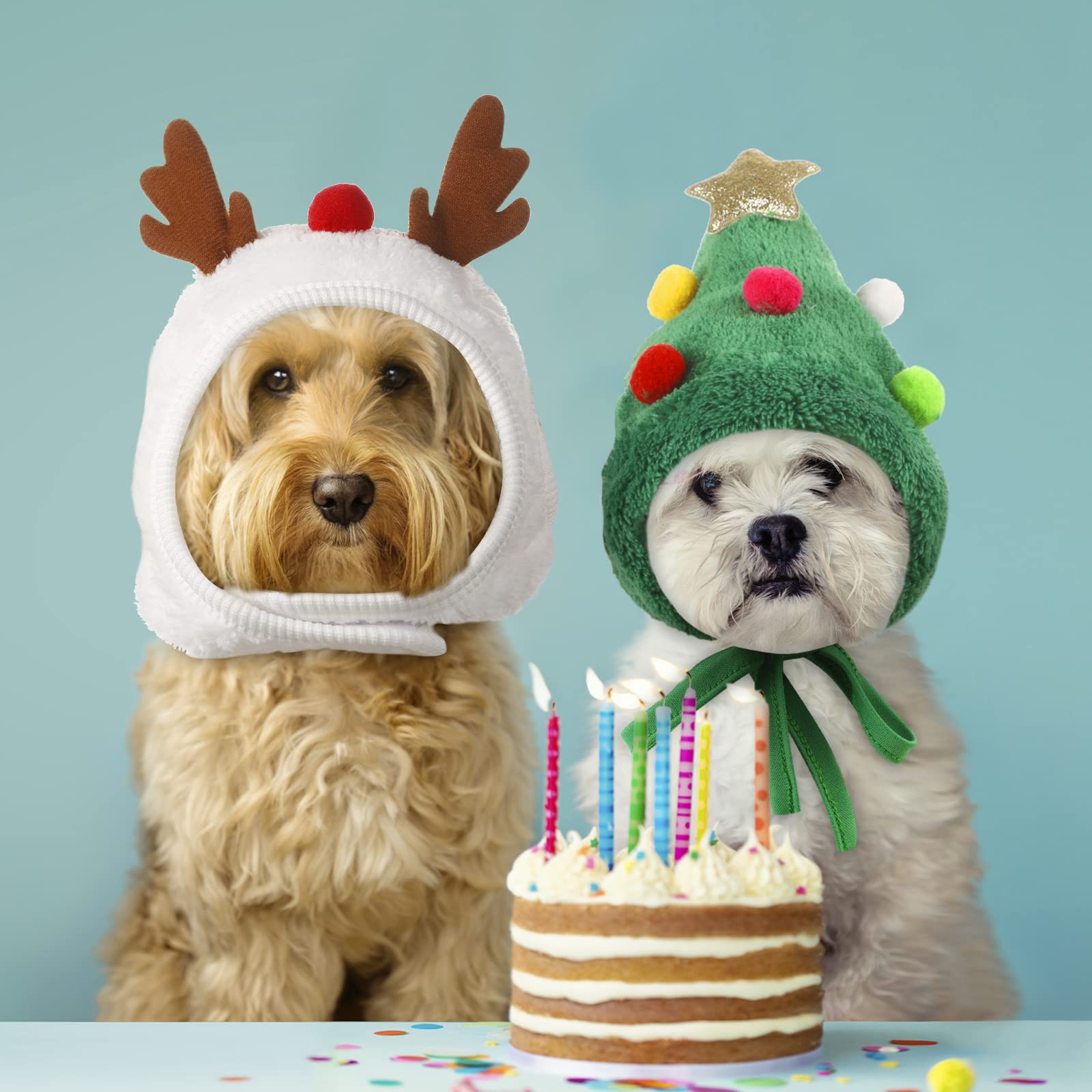 Reginary Christmas tree hat red and green—festive party accessory for pets
