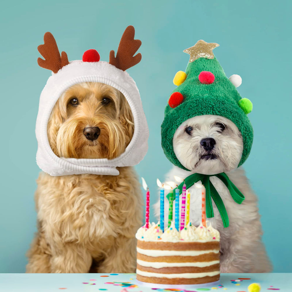 Reginary Christmas tree hat red and green—festive party accessory for pets