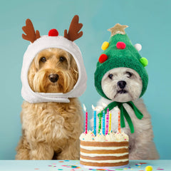 Reginary Christmas tree hat red and green—festive party accessory for pets