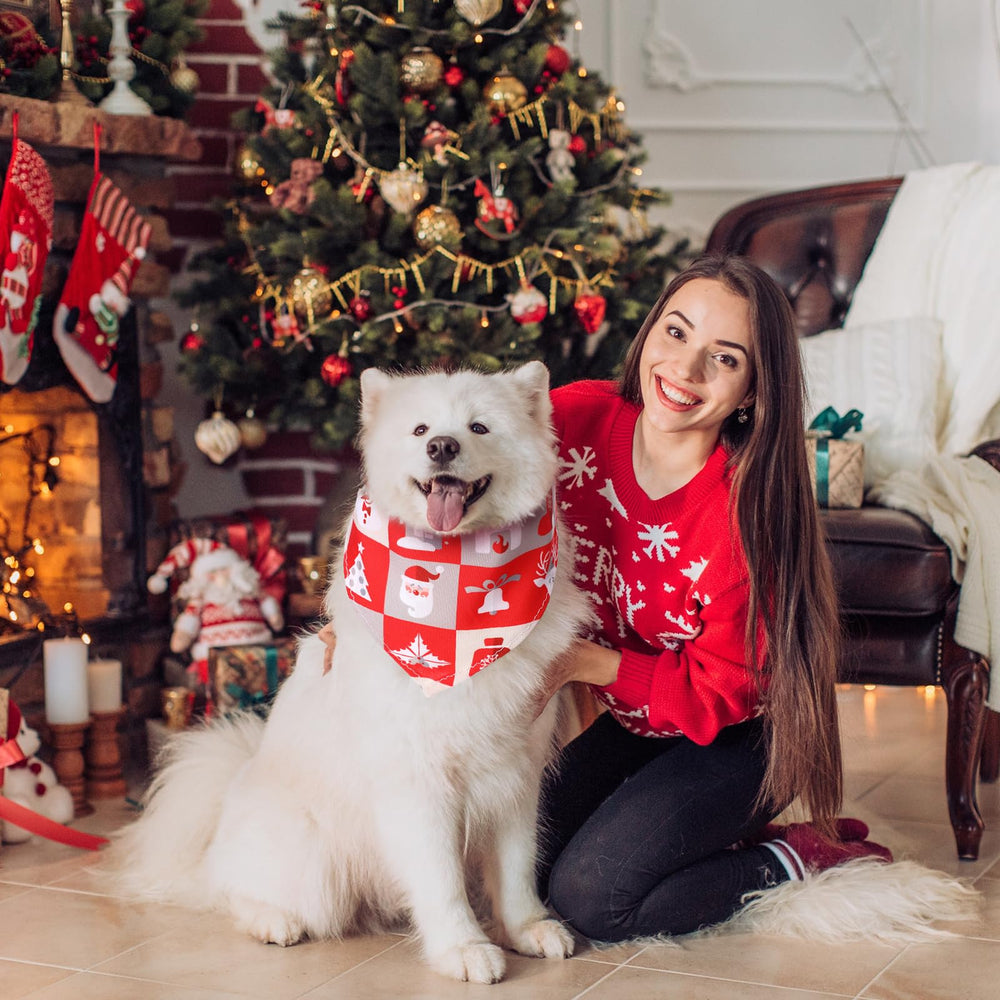 Reginary dog bandana holiday elements design adds festive charm to events