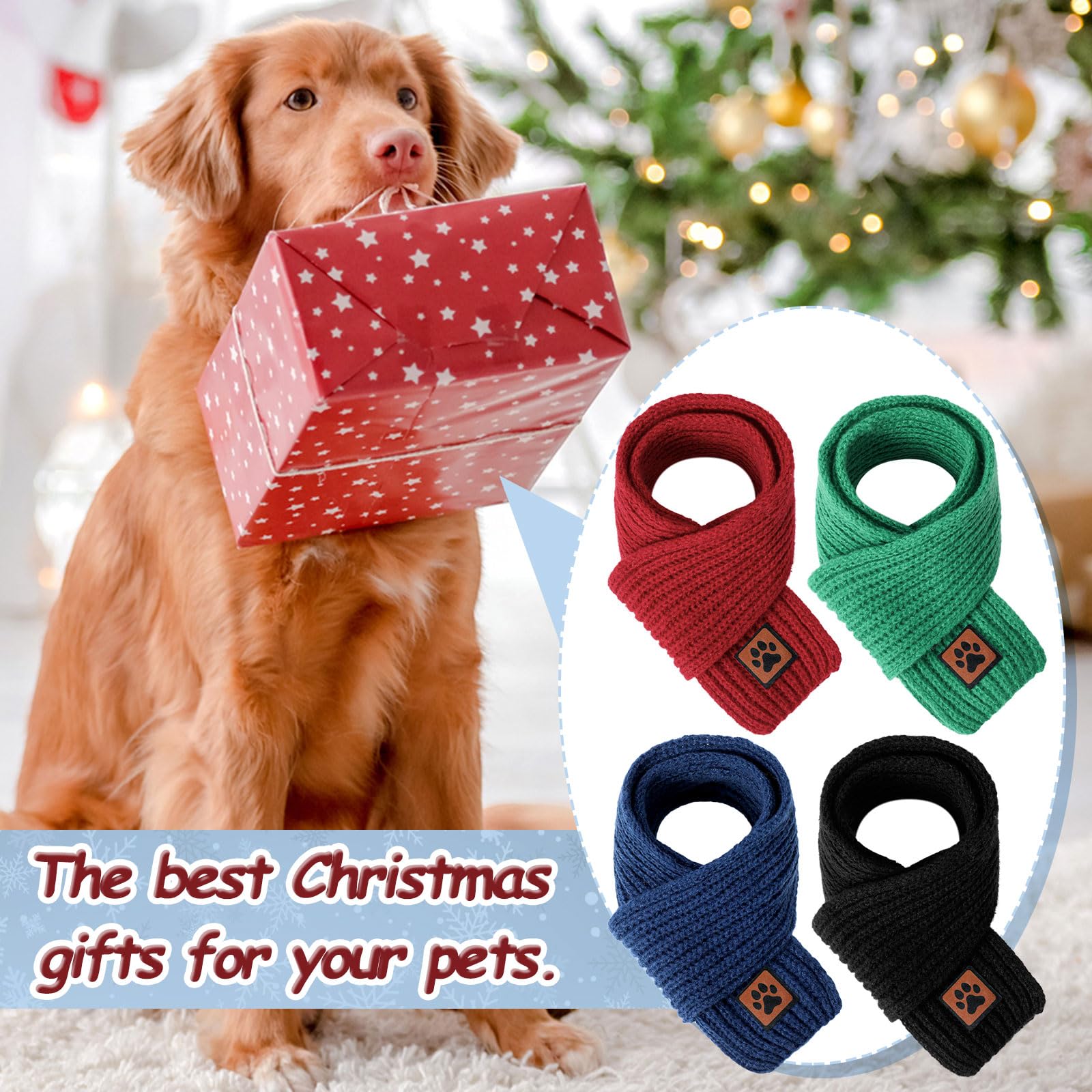 Reginary dog wearing knitted scarf: easy slip-on comfort for outdoor outings.