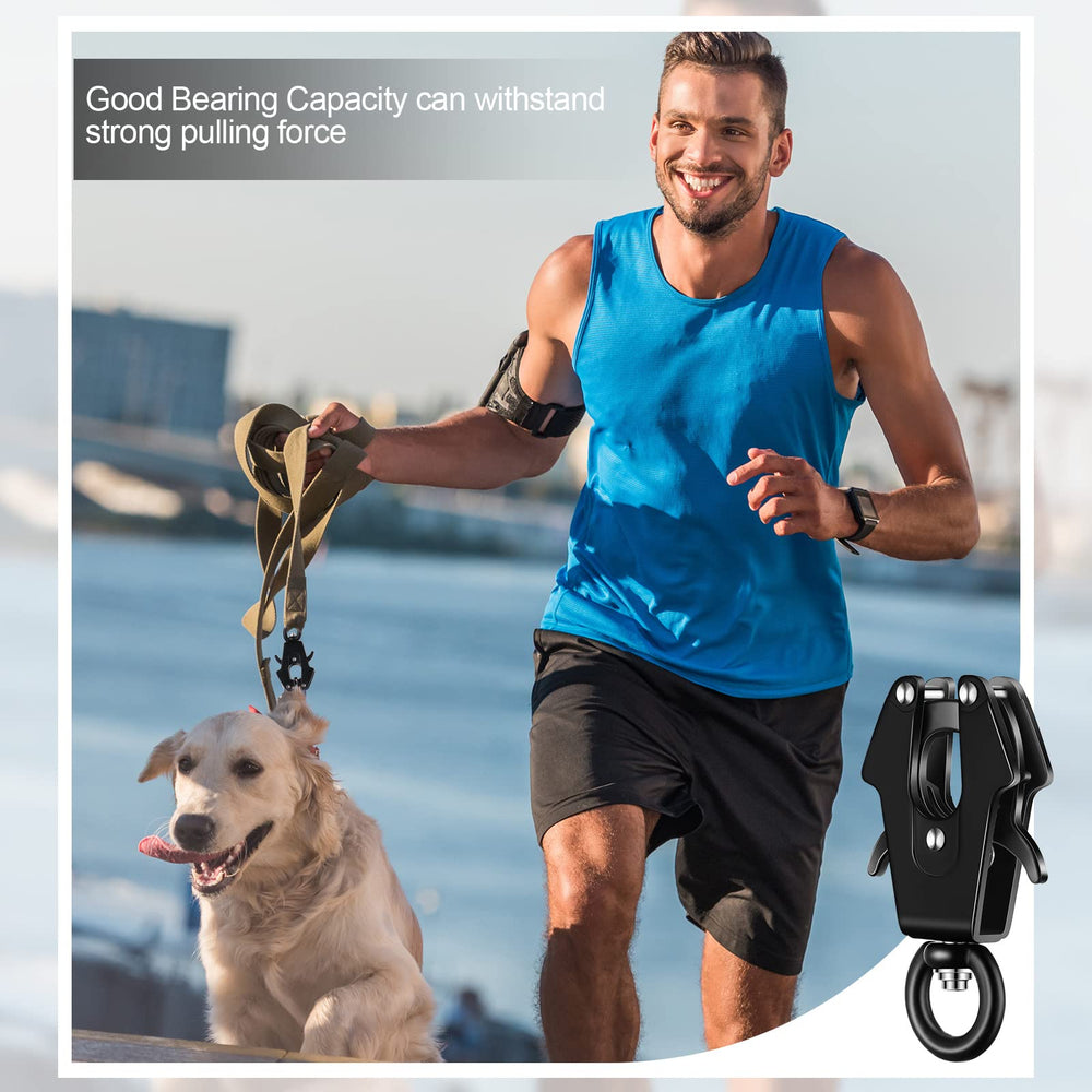Reginary dog leash clip attachment for versatile setups