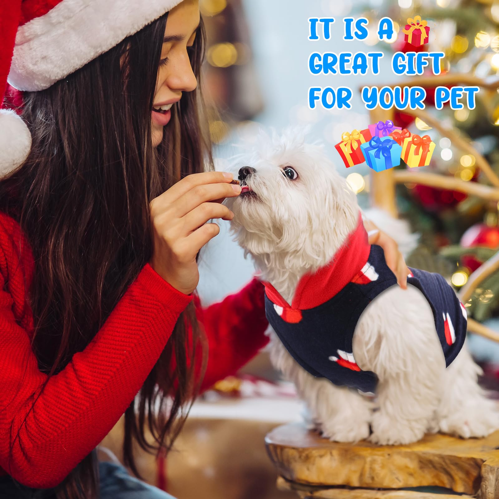 Reginary dog sweater for daily use and travel – lightweight warmth on the go.