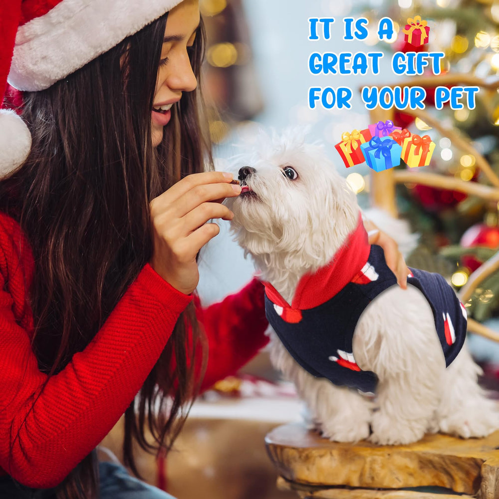 Reginary dog sweater for daily use and travel – lightweight warmth on the go.