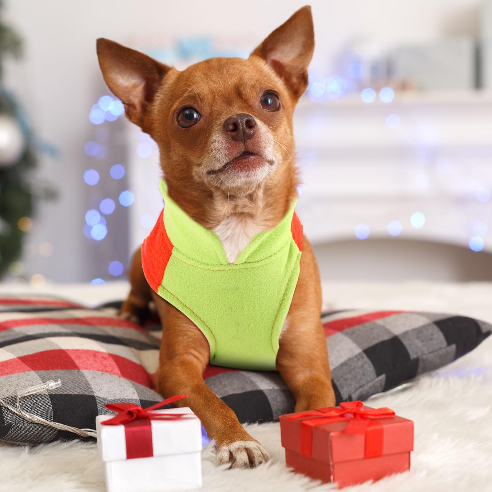 Reginary small dog sweater size chart – helps find comfortable fit.