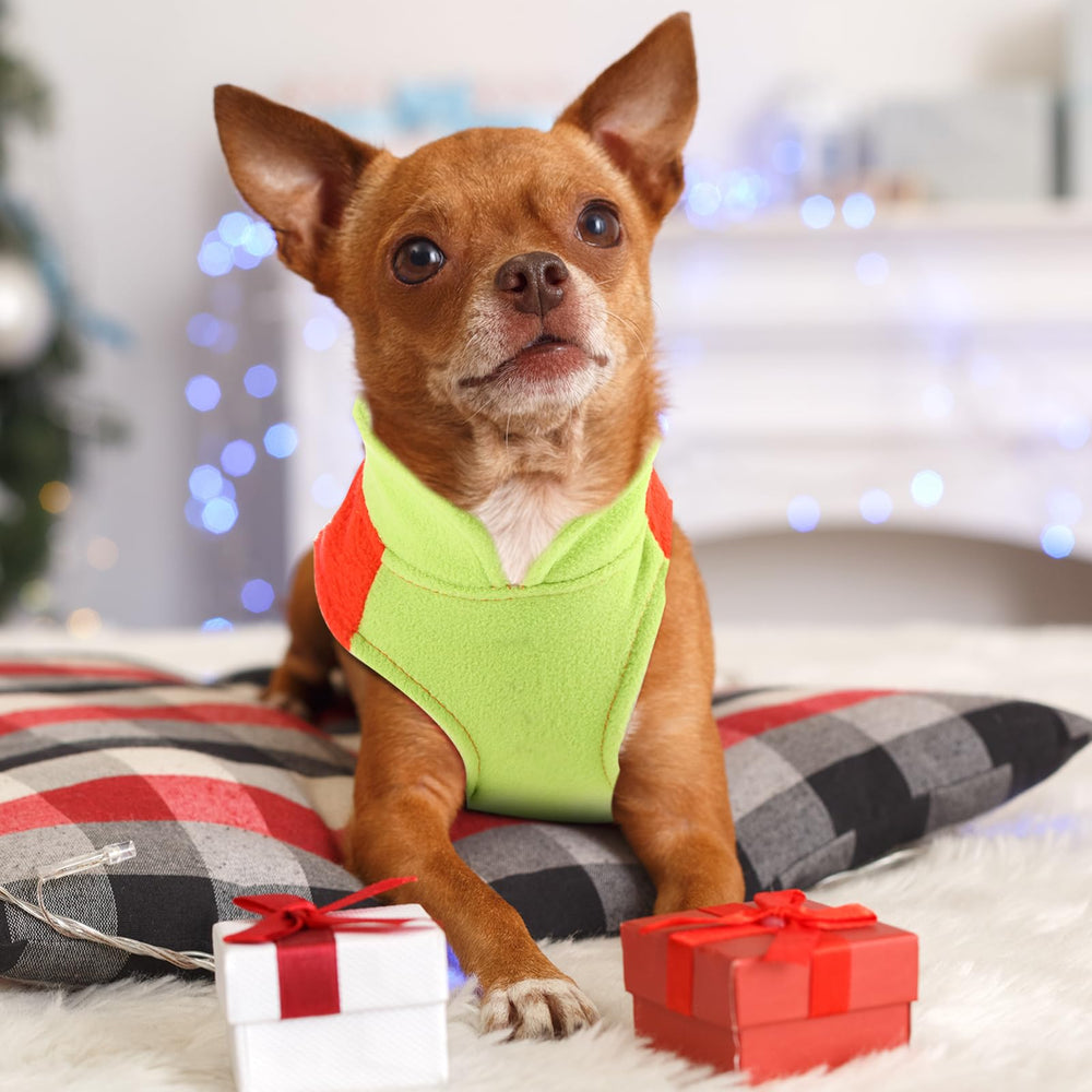 Reginary small dog sweater size chart – helps find comfortable fit.