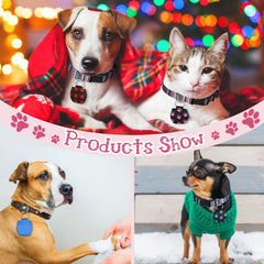 Reginary paw-style silencer bag shown on collar for calm walks