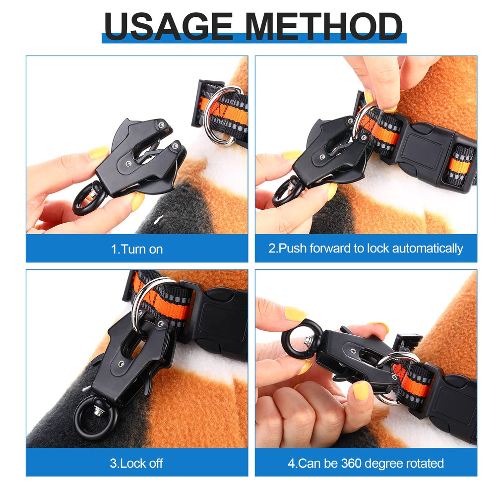 Reginary frog clip attached to leash in outdoor scene