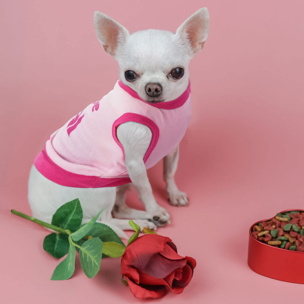 Reginary girl dog clothes feature heart, crown, earphone prints for adorable style.