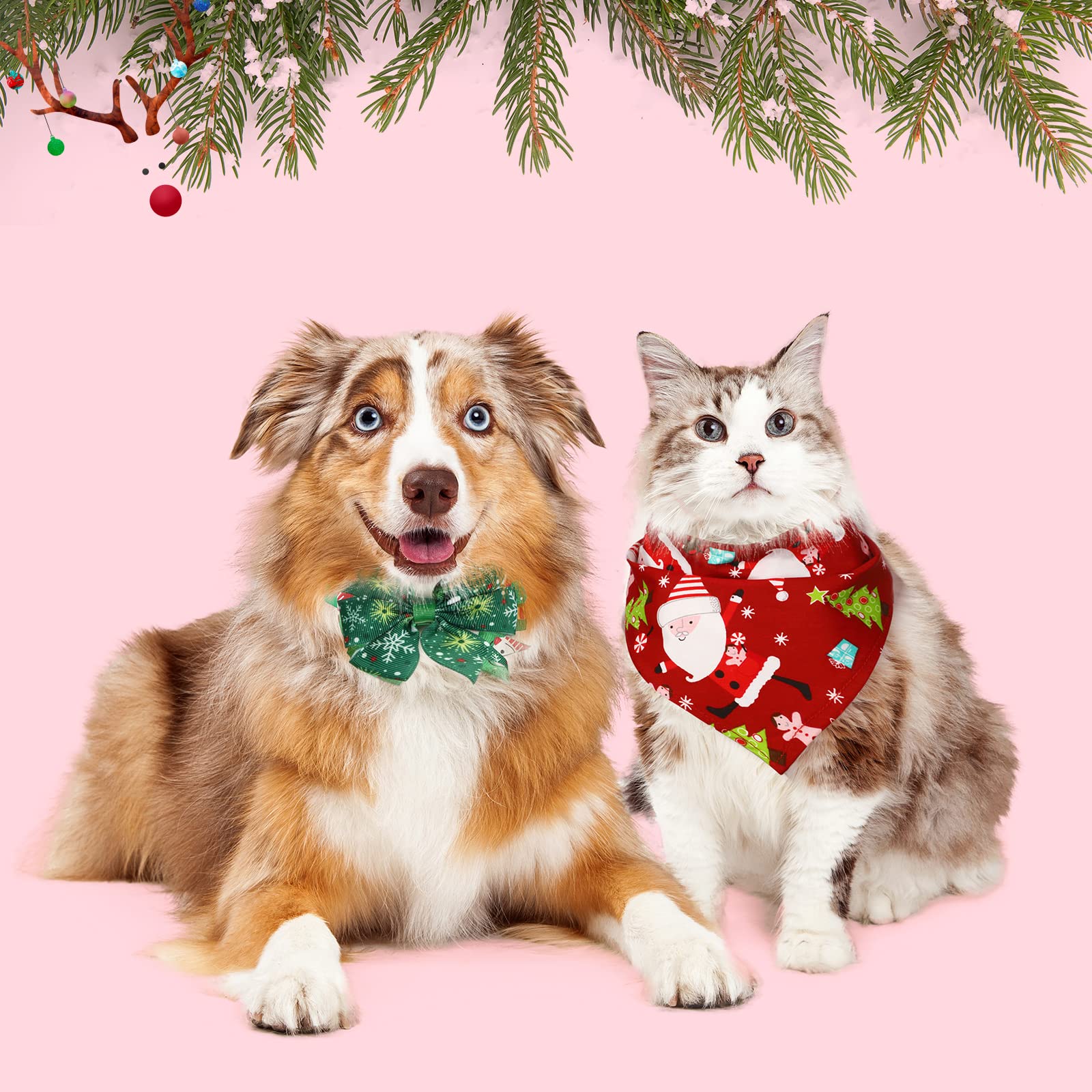 Reginary holiday pet outfits photo props help capture memories