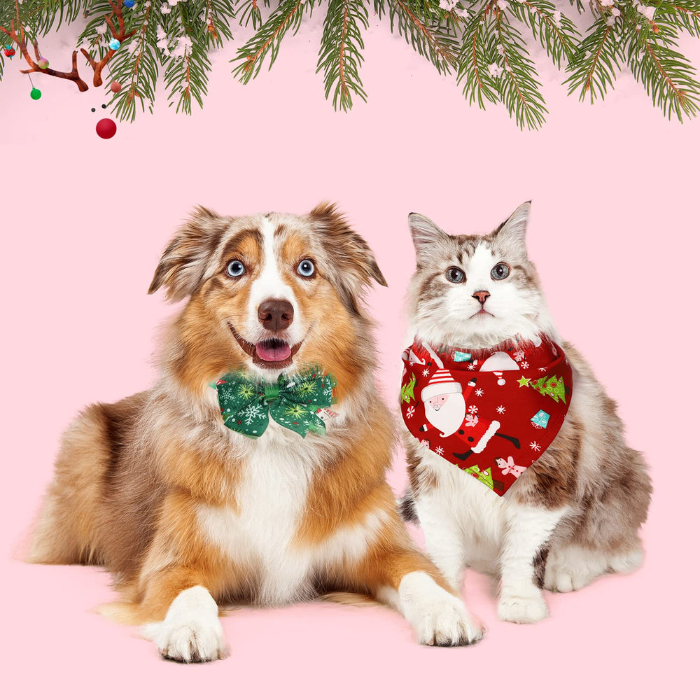 Reginary holiday pet outfits photo props help capture memories