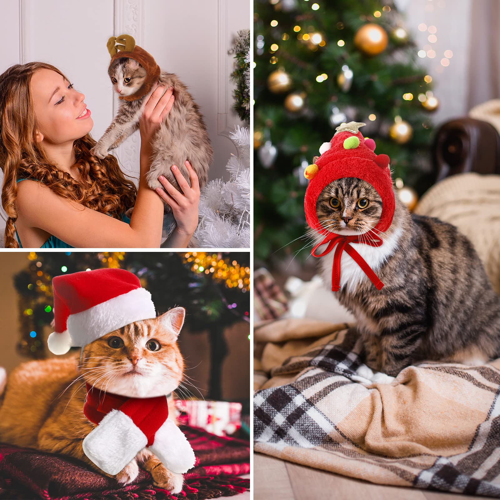 Reginary pet costume set—multiple festive styles for photos