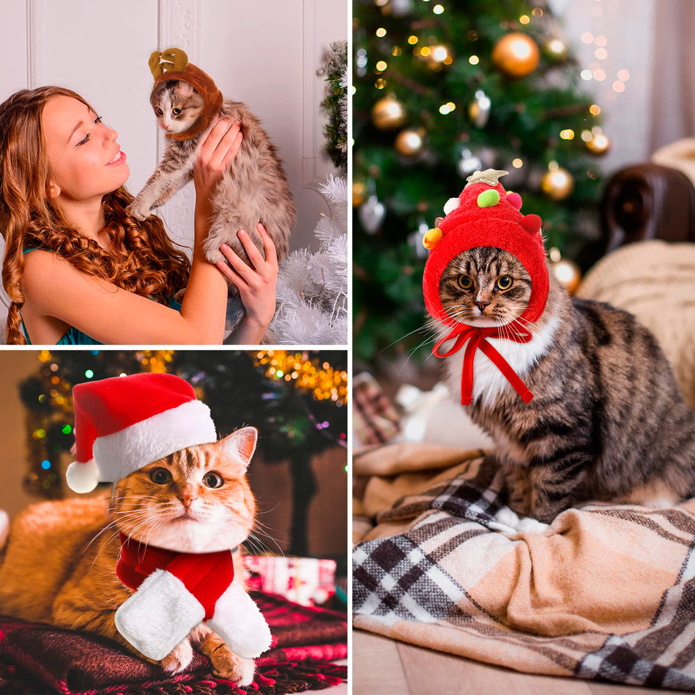 Reginary pet costume set—multiple festive styles for photos