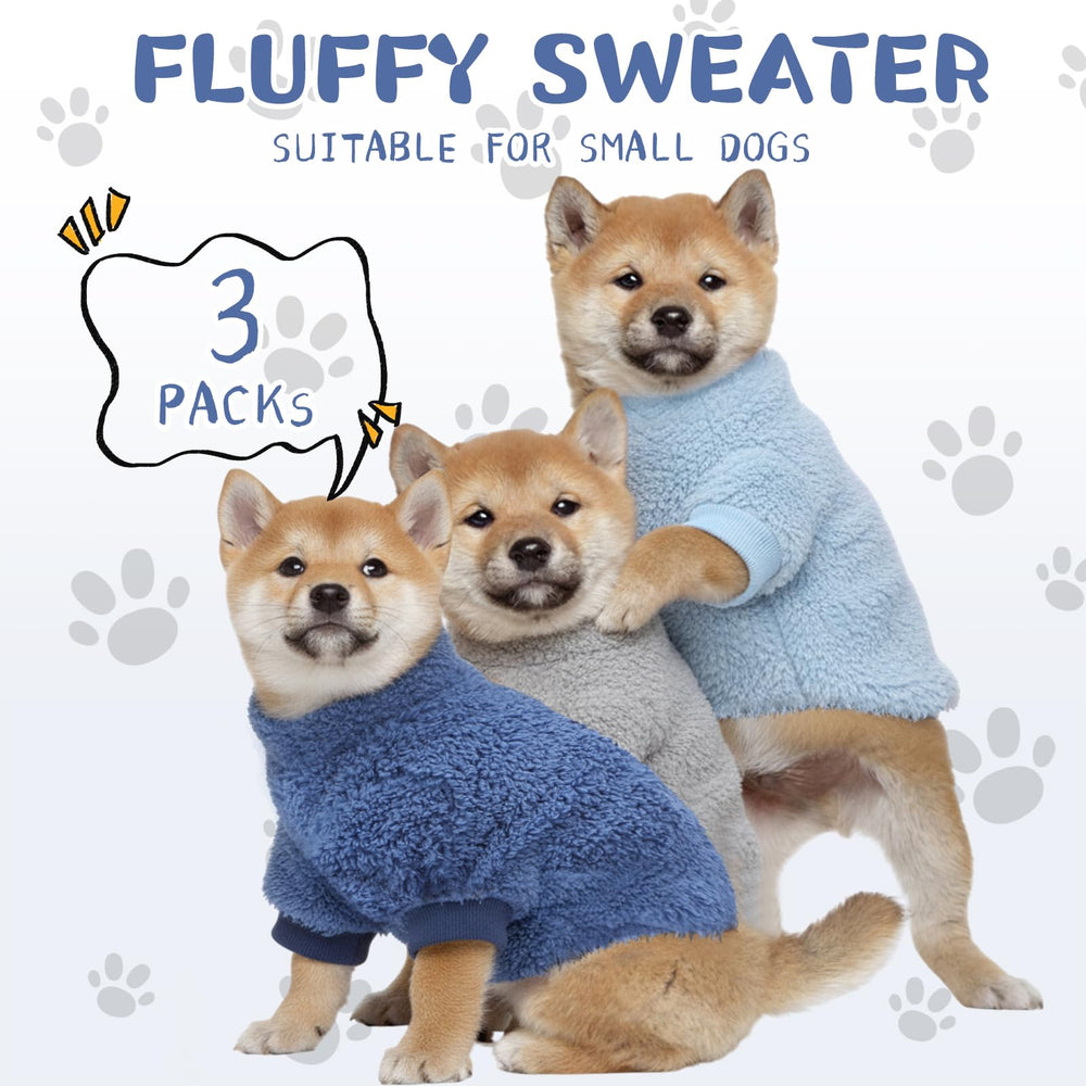 Reginary dog clothes worn at parks or photoshoots to look stylish