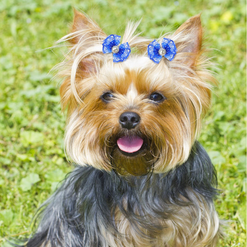 Reginary small pet bows suitable for parties and weddings.
