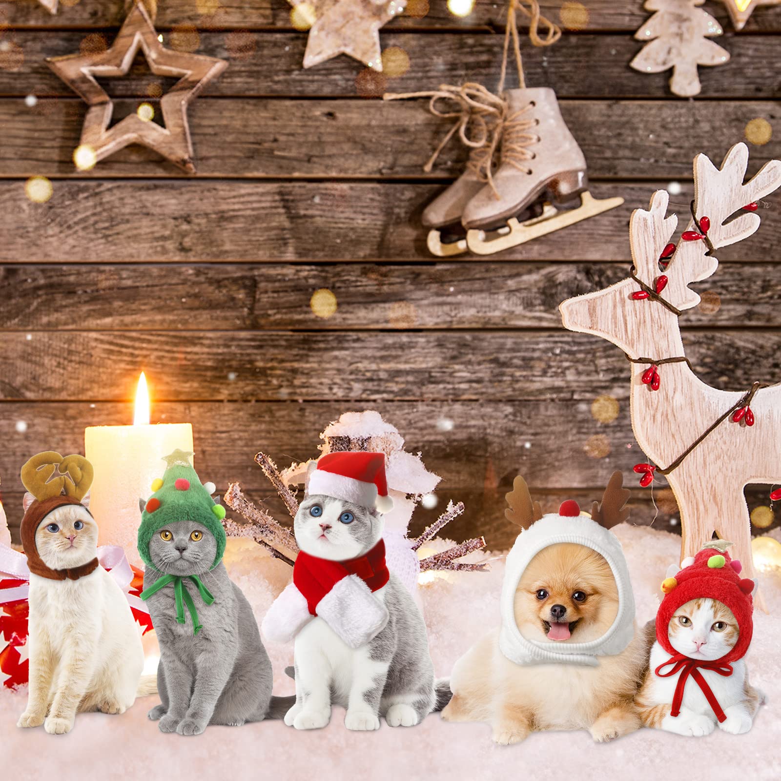 Reginary soft polyester pet costume—breathable comfort during celebrations