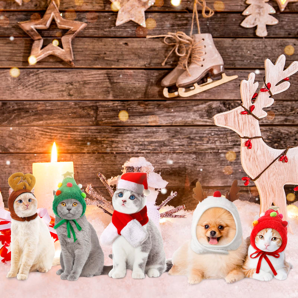 Reginary soft polyester pet costume—breathable comfort during celebrations