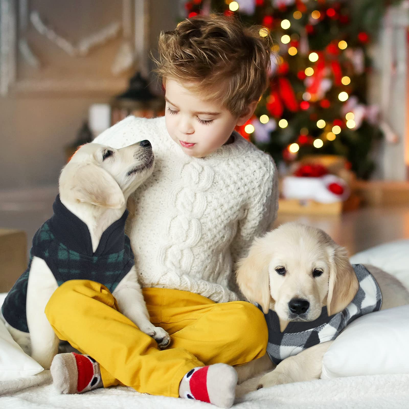 Reginary X-Large Dog Sweater keeps dogs warm during outdoor winter adventures.