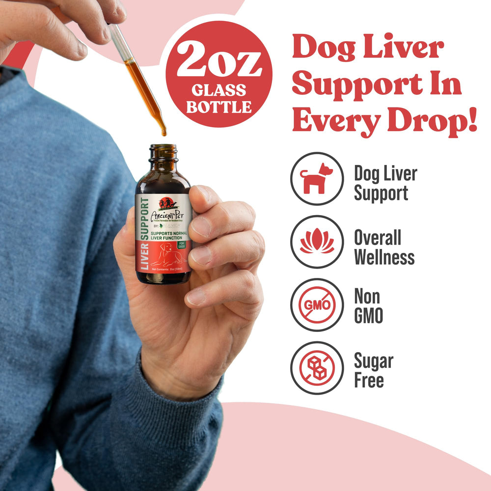 Rejuvica Health angelica root image features a traditional herbal addition