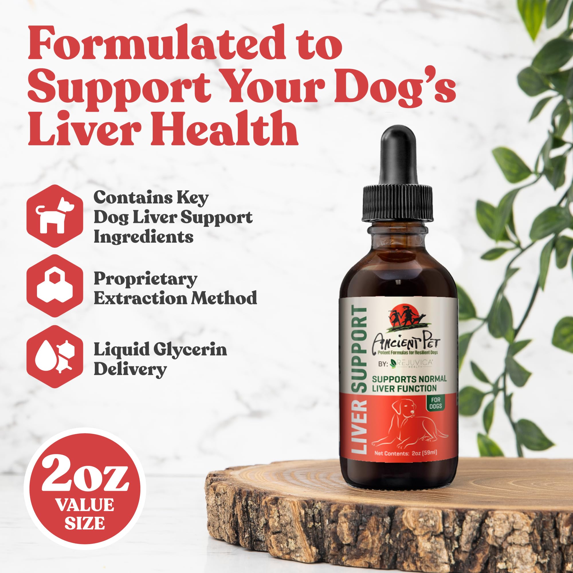 Rejuvica Health dropper enables quick, stress-free dosing for dogs