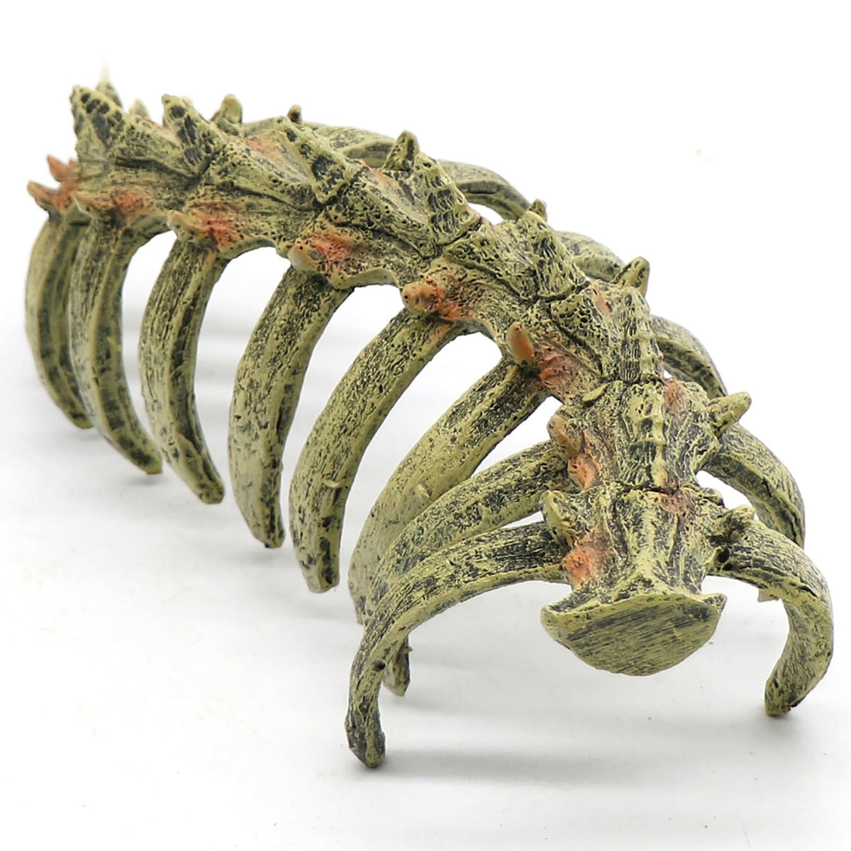 relaqcc aquarium skull ornament creates depth and hiding spots for fish.