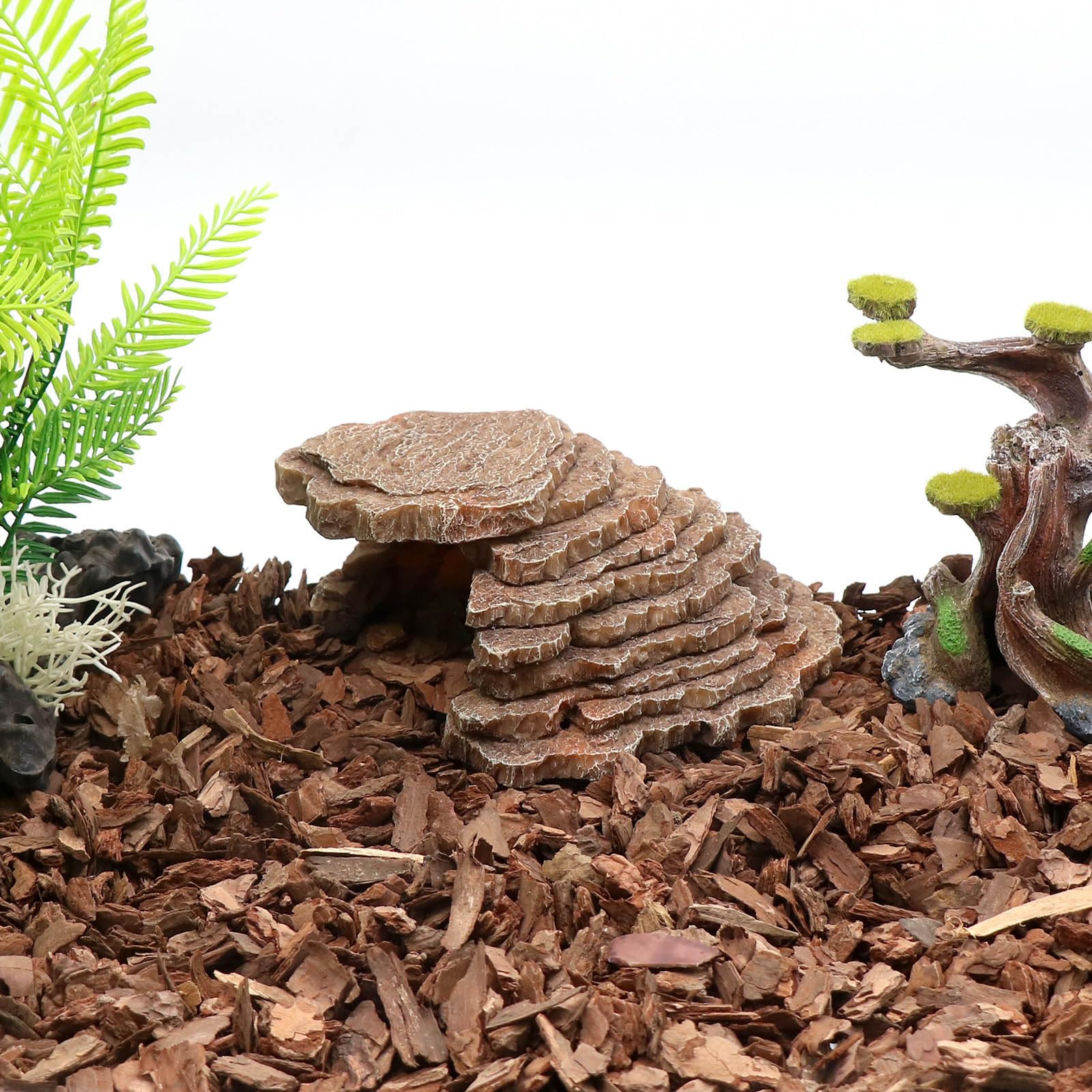 relaqcc Gecko Hide side view shows climbable terrain for exploration.