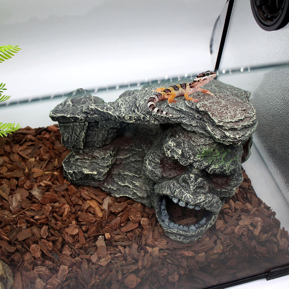 relaqcc Gecko Humid Hideaway creates a humid microclimate for shedding and comfort