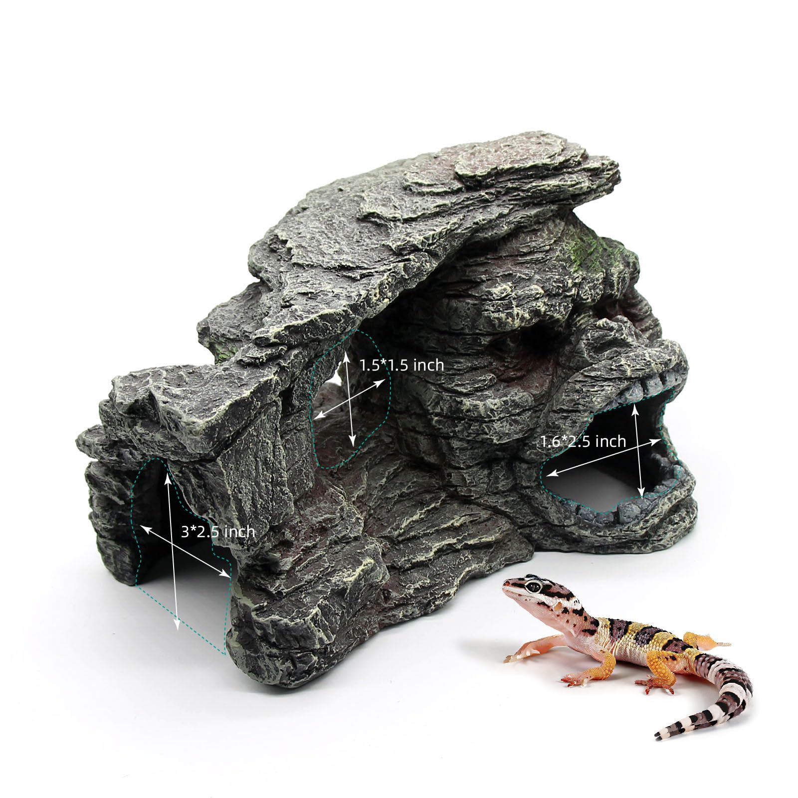 relaqcc Gecko Step Ledge provides climbing routes for enrichment and exploration