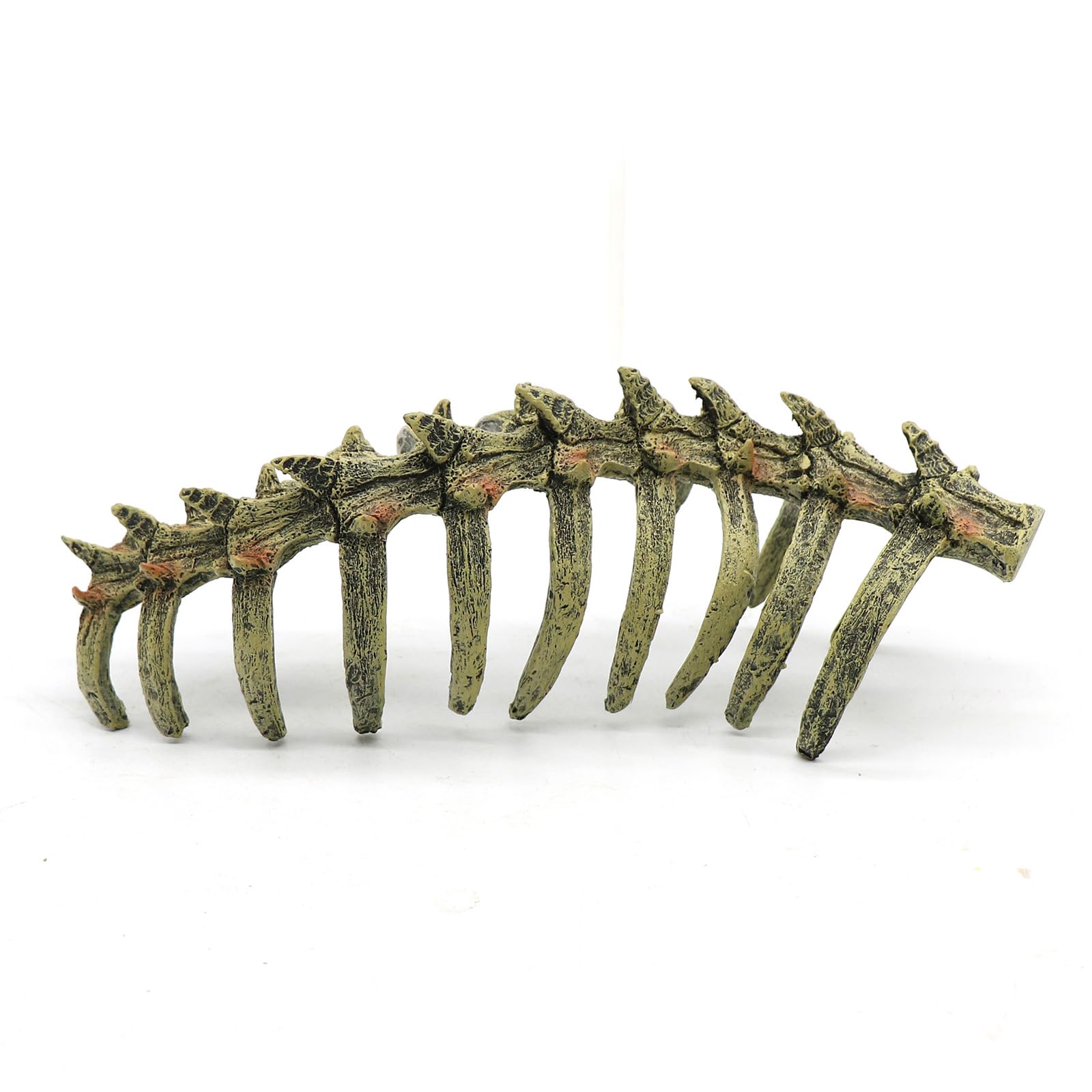 relaqcc multi-use skull decor creates visual interest and functional hideaways.