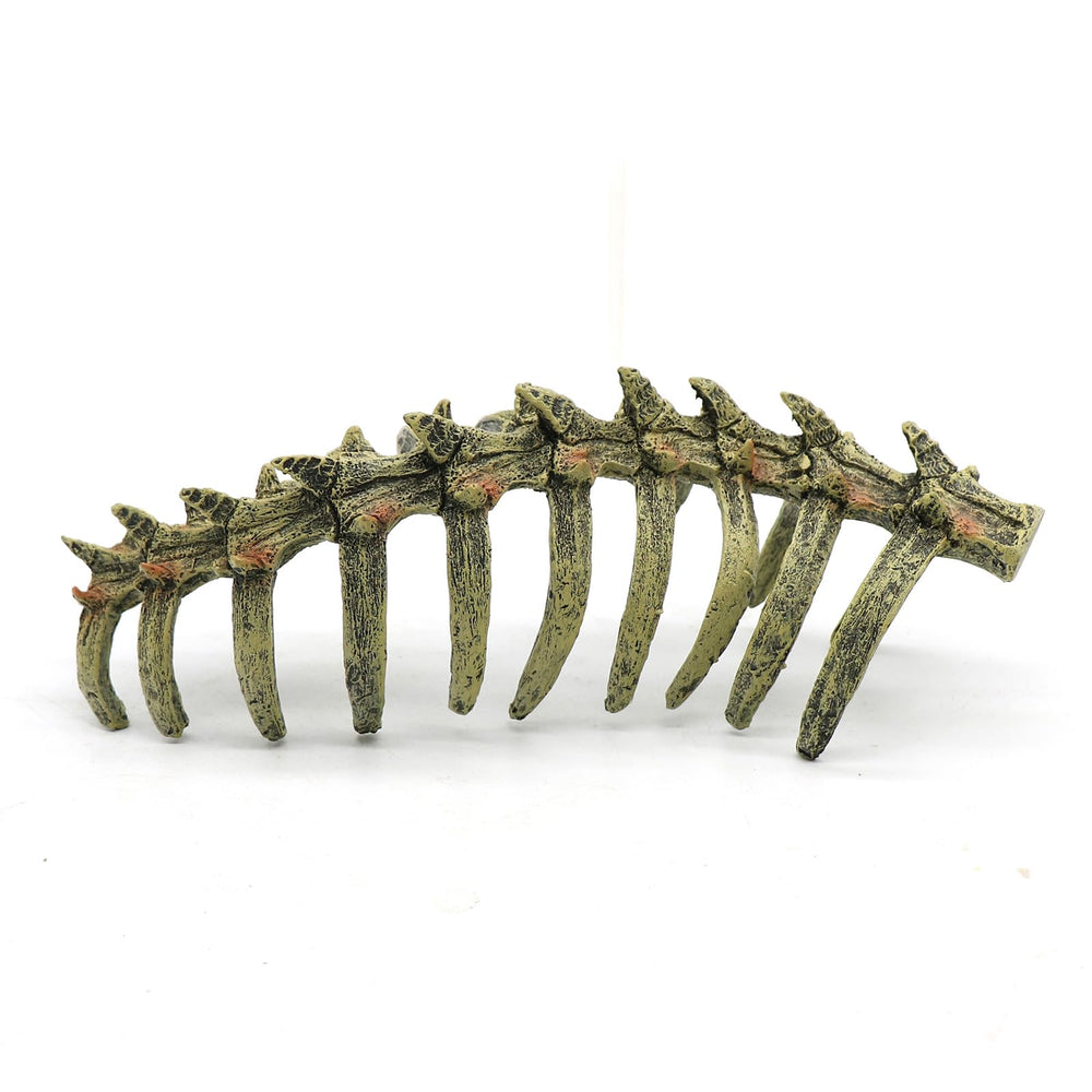 relaqcc multi-use skull decor creates visual interest and functional hideaways.