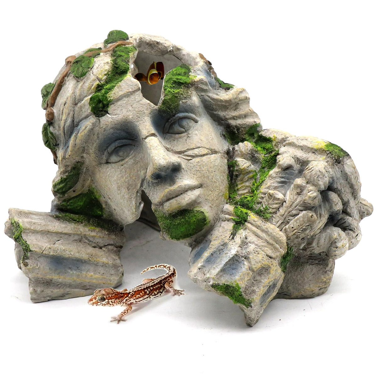 relaqcc reptile cave hideout entrance demonstrates natural shelter for stress-free hiding