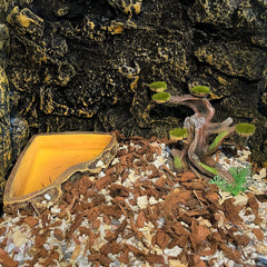  relaqqc resin hollow tree trunk creates hiding spaces and exploration routes in your tank